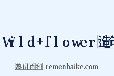 Wild+flower造句是什么意思的图片